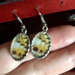 Real Butterfly Wing Silver Earrings